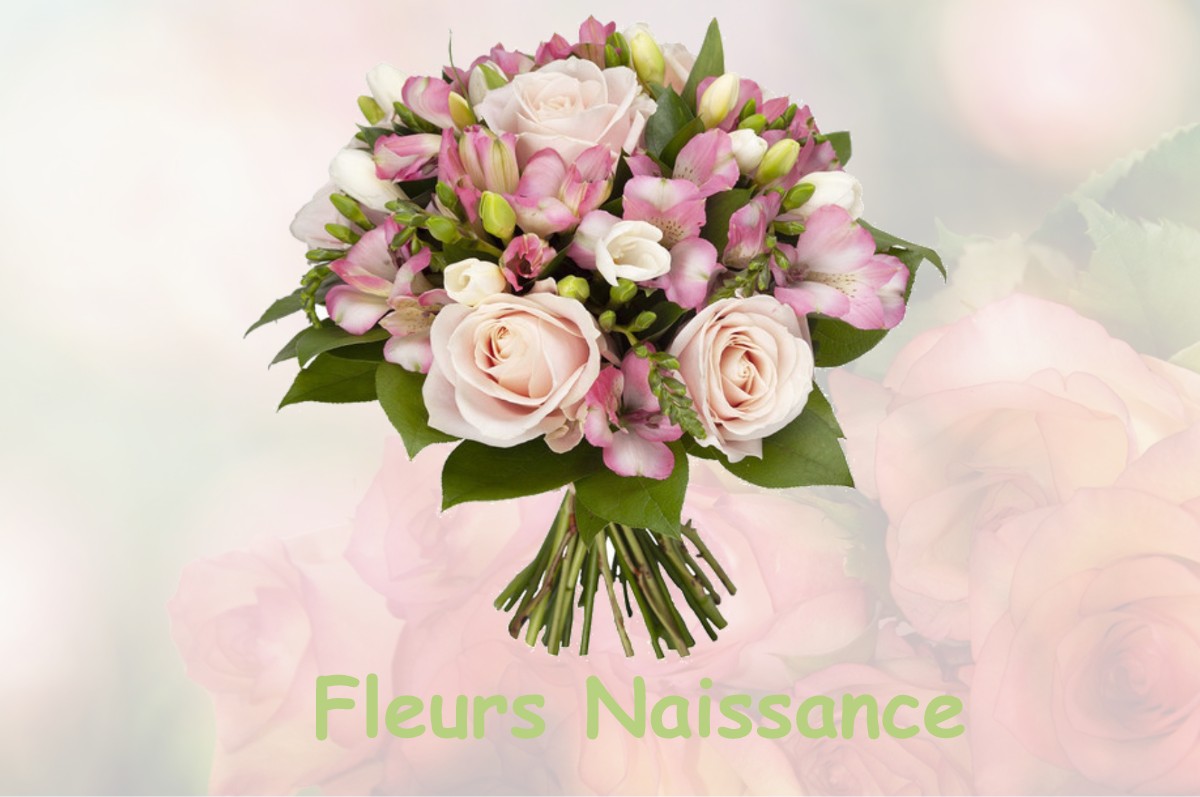 fleurs naissance LA-CHAMPENOISE